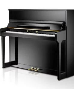 Konzert K280 Tradition
