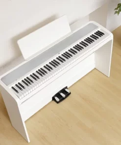 KORG B2SP (New)