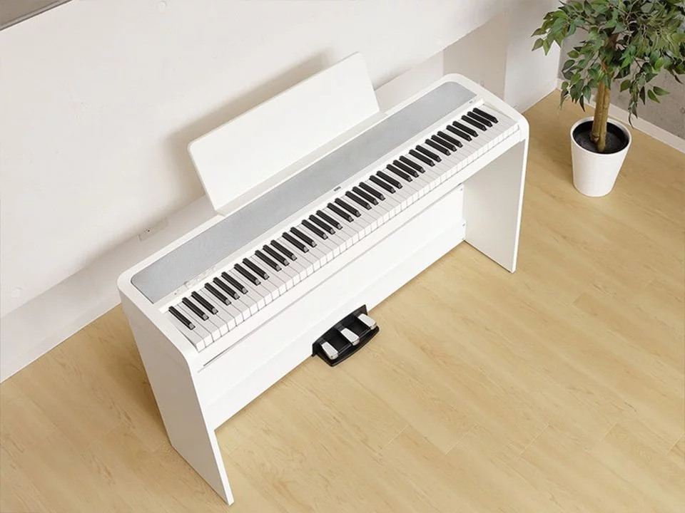 KORG B2SP White