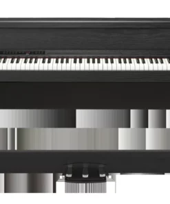 KORG C1 Air WA