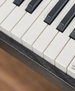 KORG LP-380 DW