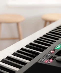 KORG XE20