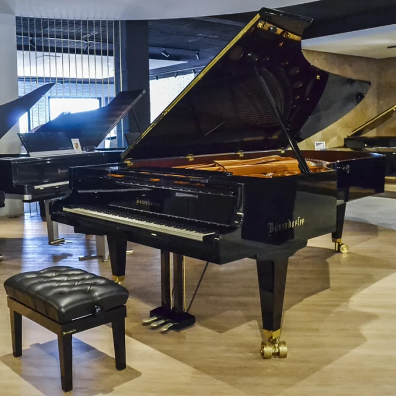 Review LORIS IMPERIAL – Hình ảnh thực tế tại showroom Elite Piano