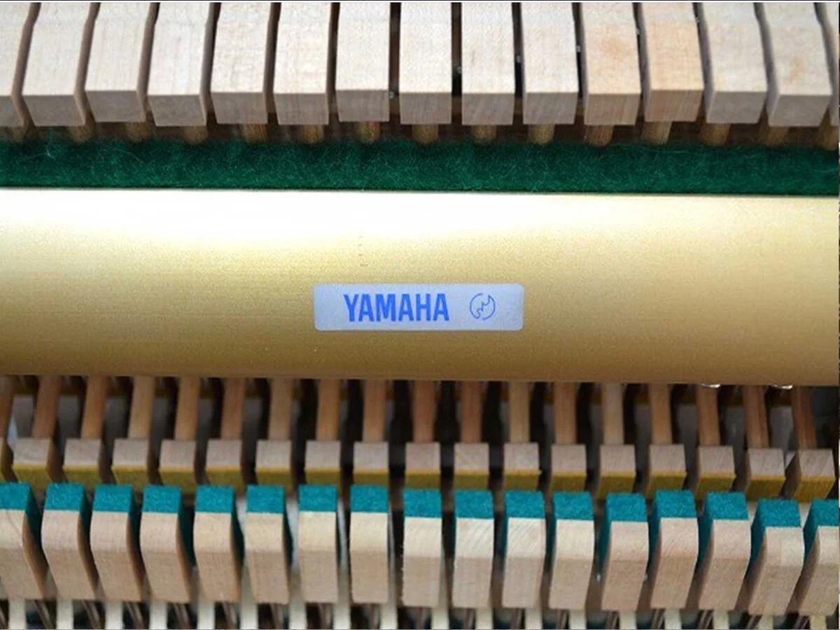 MIKI M1H - Elite Piano