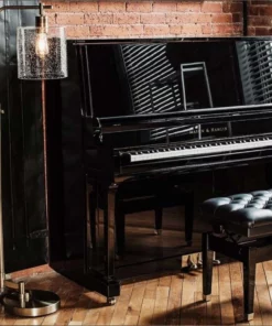 MASON & HAMLIN MODEL 50 (VX Series)