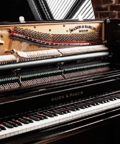 MASON & HAMLIN MODEL 50 (VX Series)