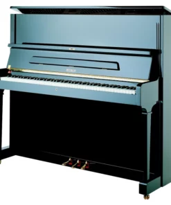 P-210 PASAT
