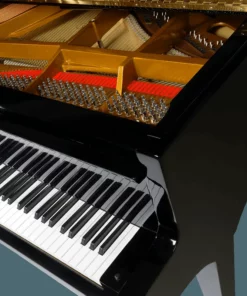 Pleyel OP190-BLK