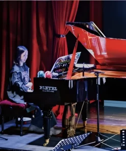 Pleyel OP190-BLKR