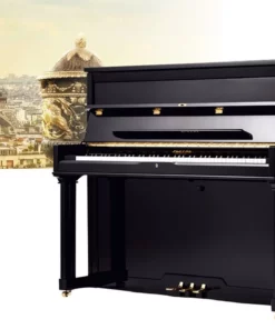 Pleyel P124-BLK