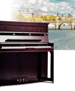 Pleyel P124-OPM