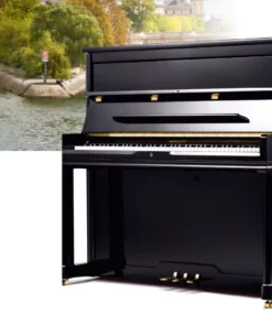 Pleyel P131-BLK