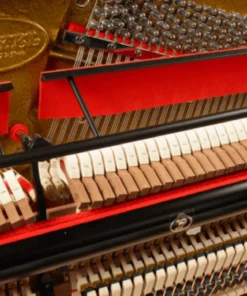 Pleyel P131-BLK