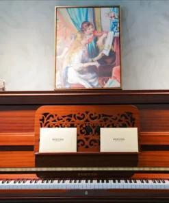 Pleyel P131R-HOMS