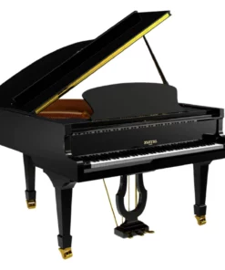 Pleyel P170-BLK