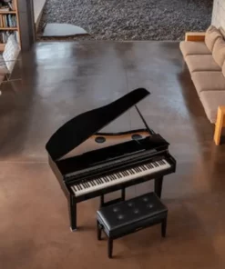 ROLAND GP-6 PE (Used)