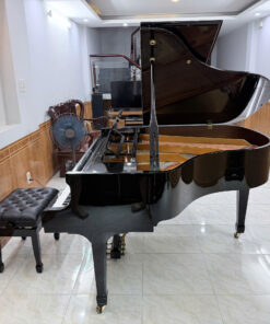 Ritmuller GP160R1 PE (USED)
