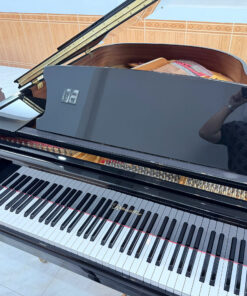 Ritmuller GP160R1 PE (USED)
