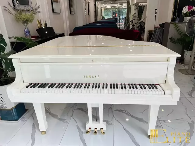 YAMAHA C2 WH Seri 5