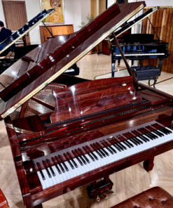 Schreiner & Söhne GP-170 (Macassar Ebony)