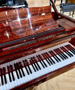 Schreiner & Söhne GP-170 (Macassar Ebony)