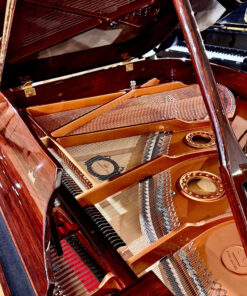 Schreiner & Söhne GP-170 (Macassar Ebony)