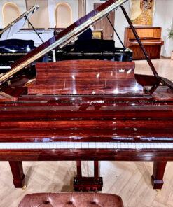 Schreiner & Söhne GP-170 (Macassar Ebony)