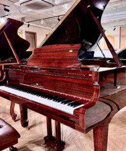 Schreiner & Söhne GP-170 (Macassar Ebony)