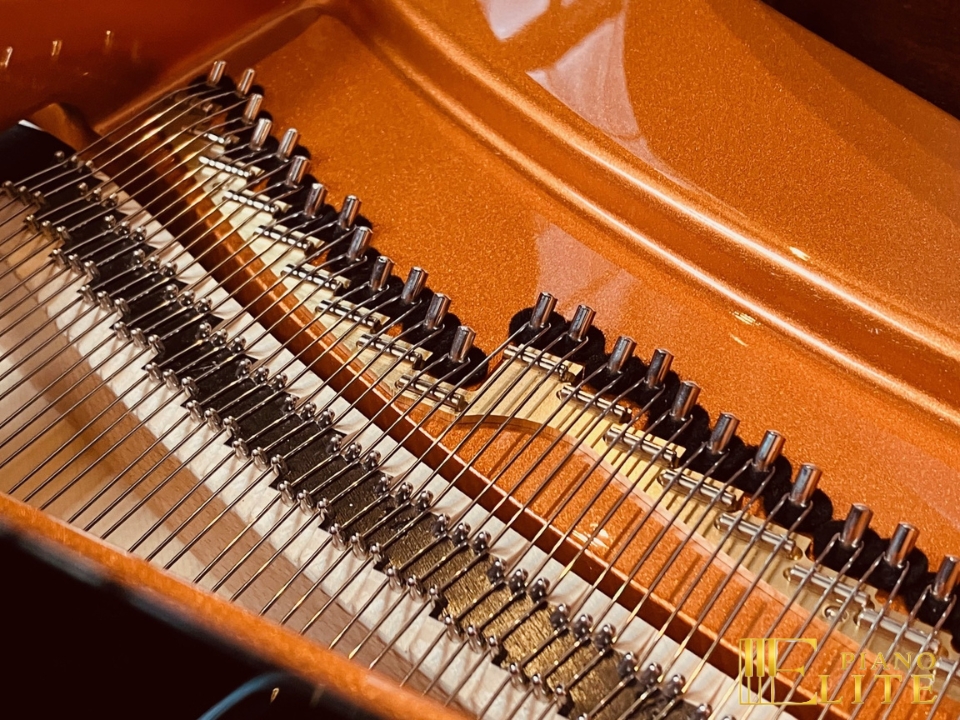 Review Wilhelm Schimmel W180 Tradition (Ebony High Gloss) – Hình ảnh thực tế tại showroom Elite Piano
