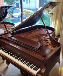 YAMAHA DC5X ENPRO Walnut (USED)