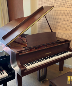 YAMAHA DC5X ENPRO Walnut (USED)