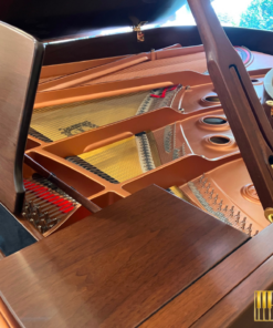 YAMAHA DC5X ENPRO Walnut (USED)