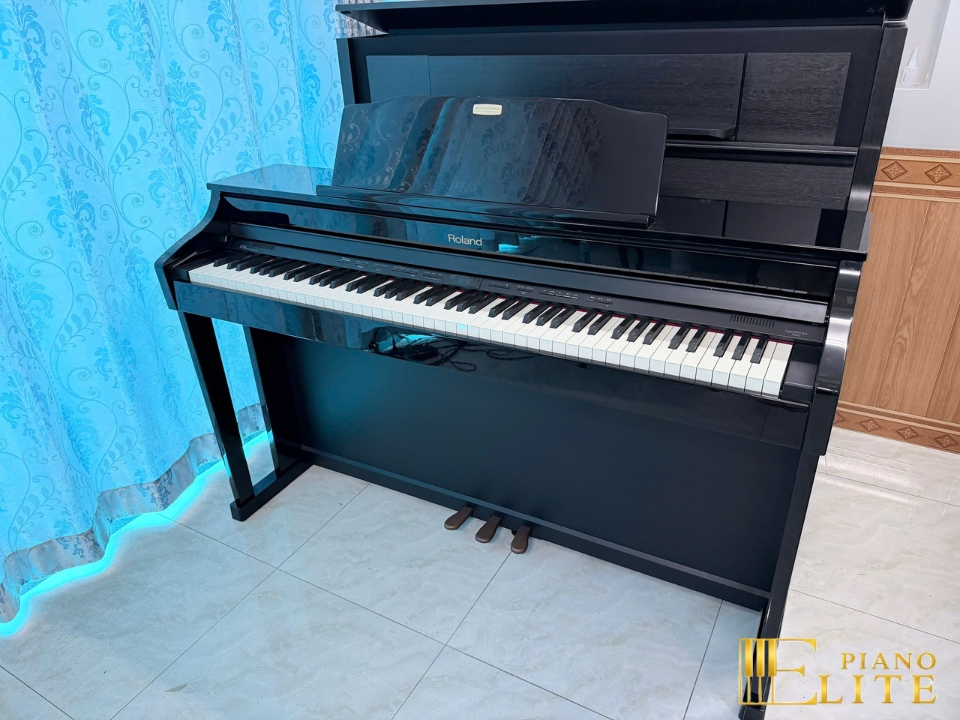 ROLAND HP-506 PE
