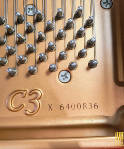 YAMAHA C3X
