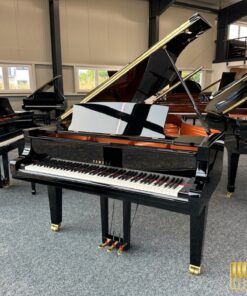 YAMAHA C6X