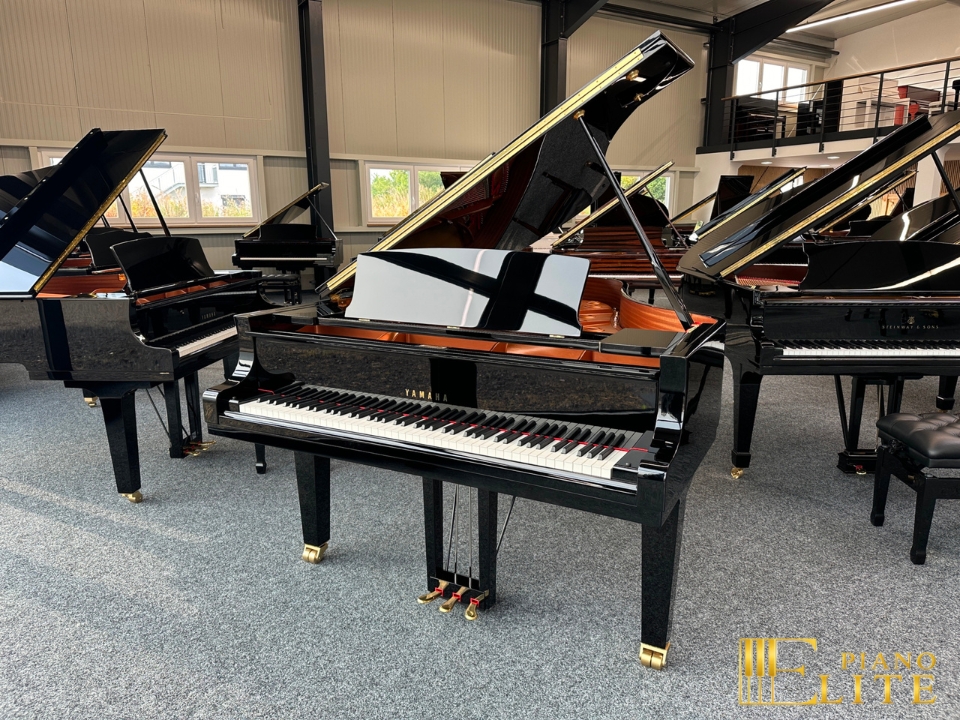 YAMAHA C6X