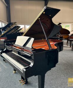 YAMAHA C6X