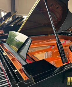 YAMAHA C6X