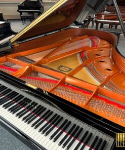 YAMAHA C6X