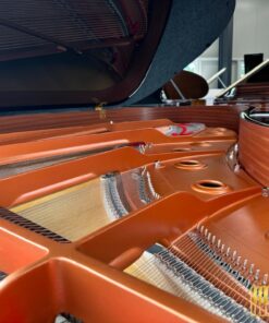 YAMAHA C6X