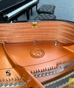 YAMAHA C6X
