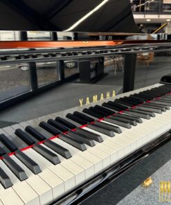 YAMAHA C6X