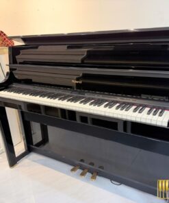 ROLAND LX-15e PE