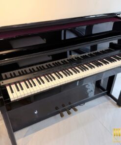ROLAND LX-15e PE