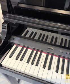 ROLAND LX-15e PE