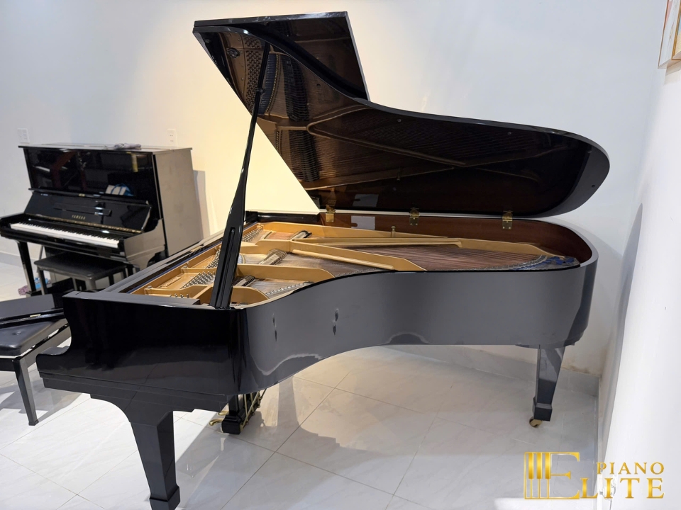 KAWAI KG-5C - Elite Piano