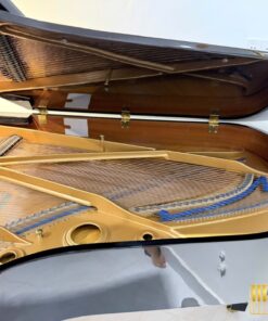 KAWAI KG-5C