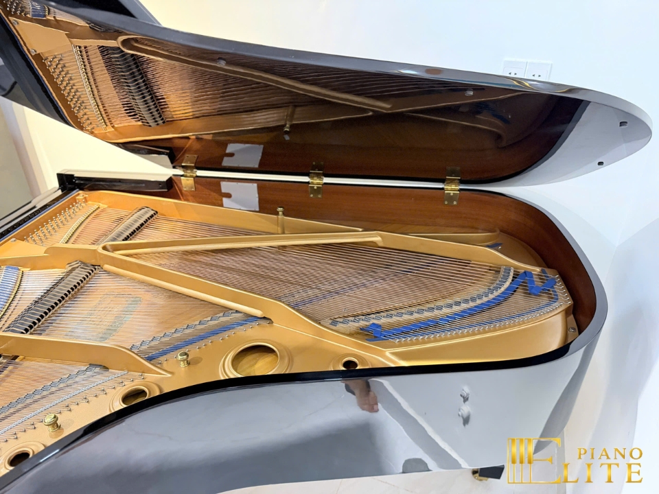 KAWAI KG-5C - Elite Piano