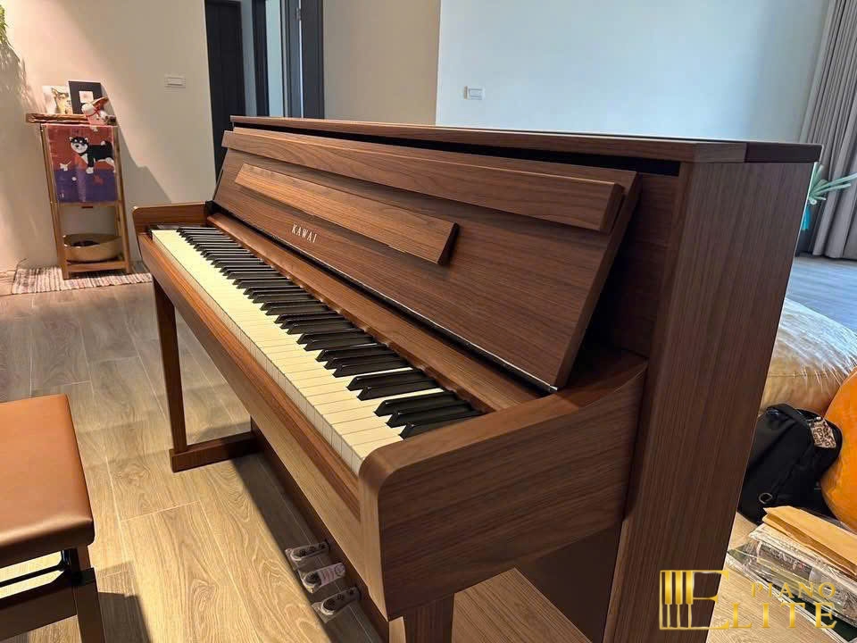 KAWAI CA901 NW Limited Edition (Used) - Elite Piano