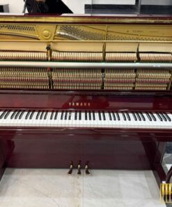 YAMAHA UX30 BiC